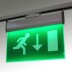 Luz Emergencia permanente para Carril Bifásico Emergency RAIL EXIT, Verde