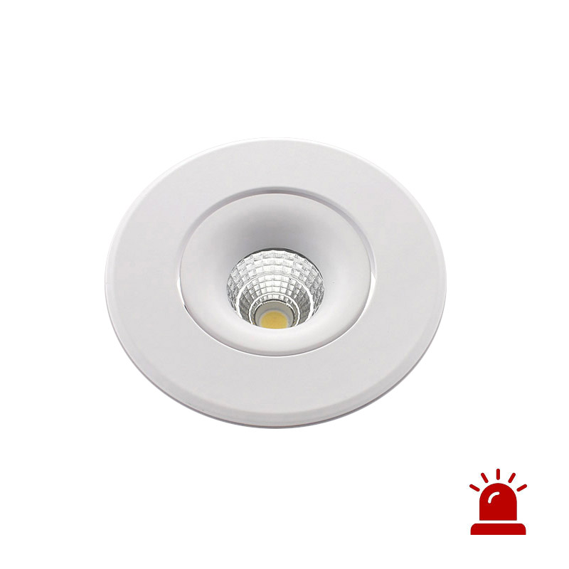 Luz de emergencia LED LUXON, 12W, Permanente / No permanente, Blanco cálido