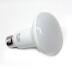 Lâmpada Led WiFi PAR30 E27 Bulb 9W RGB+Branco , RGB + Branco frio, Regulable