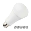 Bombilla LED WiFi E27 Bulb 12W RGB+CCT, RGB + Blanco dual, Regulable