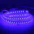 Tira LED Monocolor SMD2835, DC24V, 50 metros (120Led/m), 500W, IP66, Azul