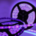 Tira LED UV Ultravioleta SMD3528, DC24V, 5m (240 Led/m) - IP67, Luz ultravioleta