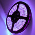 Fita LED UV Ultravioleta SMD3528, DC24V, 5m (240 Led/m) - IP67, Luz ultravioleta