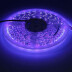Tira LED UV Ultravioleta SMD3528, DC24V, 5m (240 Led/m) - IP67, Luz ultravioleta