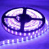 Fita LED UV Ultravioleta SMD5050, DC24V, 5m (120 Led/m) - IP20, Luz ultravioleta
