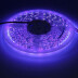Tira LED UV Ultravioleta SMD5050, DC24V, 5m (120 Led/m) - IP20, Luz ultravioleta