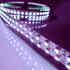 Fita LED UV Ultravioleta SMD5050, DC24V, 5m (120 Led/m) - IP67, Luz ultravioleta