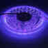Tira LED UV Ultravioleta SMD5050, DC24V, 5m (120 Led/m) - IP67, Luz ultravioleta