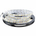 Fita LED Monocolor HQ SMD3528, DC12V, 5m (120 Led/m), 48W, IP20, Branco frio
