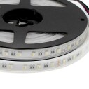 Tira LED EPISTAR SMD5050, RGB+W, DC24V, 5m (60Led/m 4 en 1) - IP67, RGB + Blanco frío