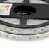Tira LED EPISTAR SMD5050, RGB+W, DC24V, 5m (60Led/m 4 en 1) - IP67, RGB + Blanco neutro