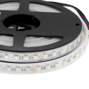 Tira LED SAMSUNG SMD5050, RGB+W, DC24V, 5m (84Led/m 4 en 1) - IP67, RGB + Blanco frío