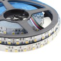 Tira LED EPISTAR SMD5050, RGB+NW, DC24V, 5m (120Led/m) - IP20, RGB + Blanco neutro