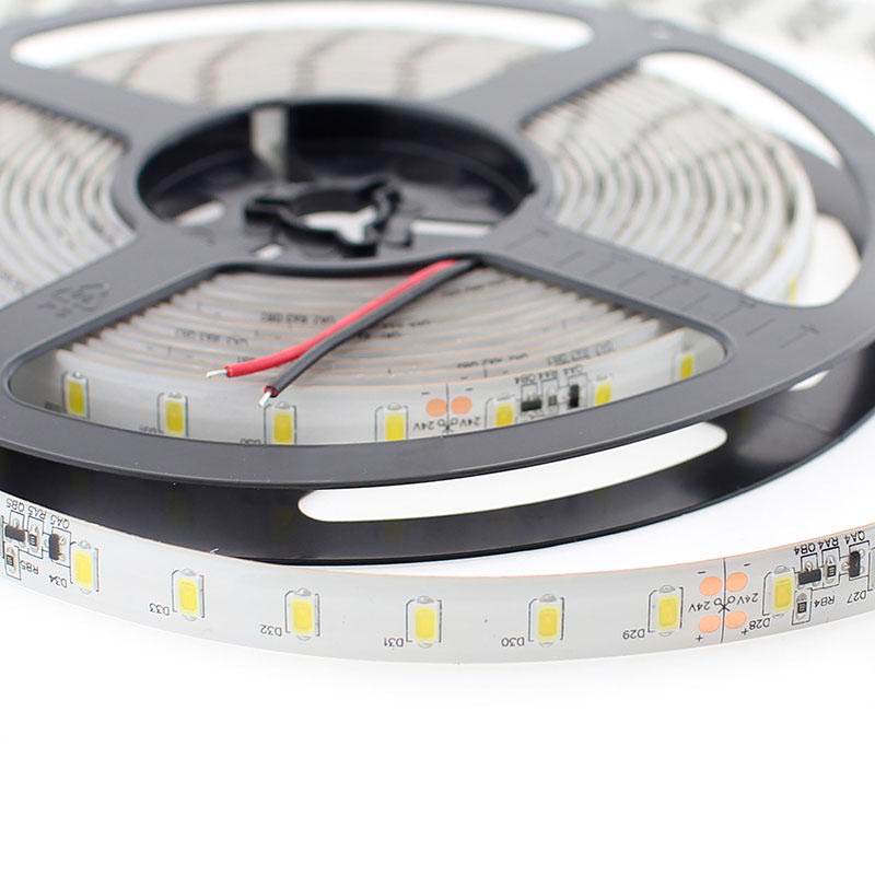 Tira LED Monocolor SMD5630, DC24V CC, 5m (70 Led/m) - Sensor Temperatura, 75W, IP20, Blanco frío