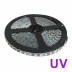 Fita LED UV Ultravioleta SMD3528, DC12V, 5m (120 Led/m) - IP20, Luz ultravioleta