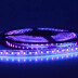 Fita LED UV Ultravioleta SMD3528, DC12V, 5m (120 Led/m) - IP20, Luz ultravioleta