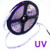 Tira LED UV Ultravioleta SMD5050, DC12V, 5m (60 Led/m) - IP65, Luz ultravioleta