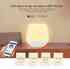 WiFi iBox Smart Light - RGB+CCT, RGB + Blanco cálido